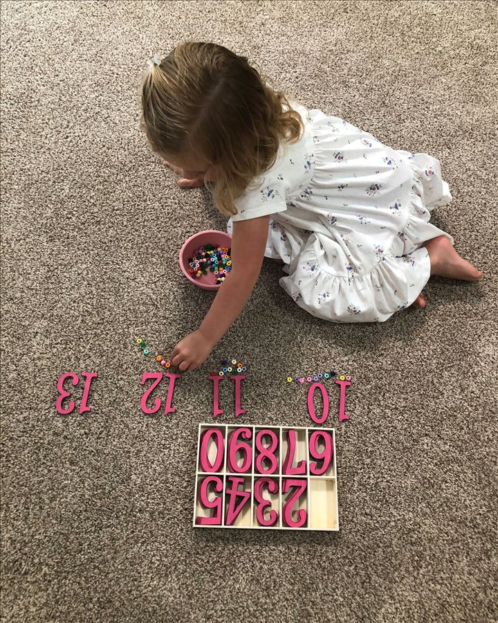 52922.jpg
