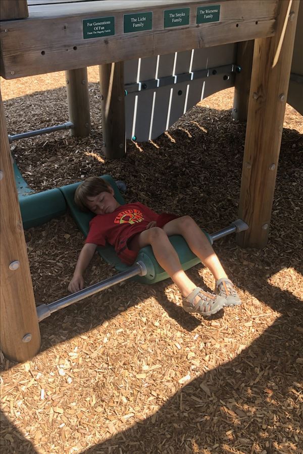 8145.jpg