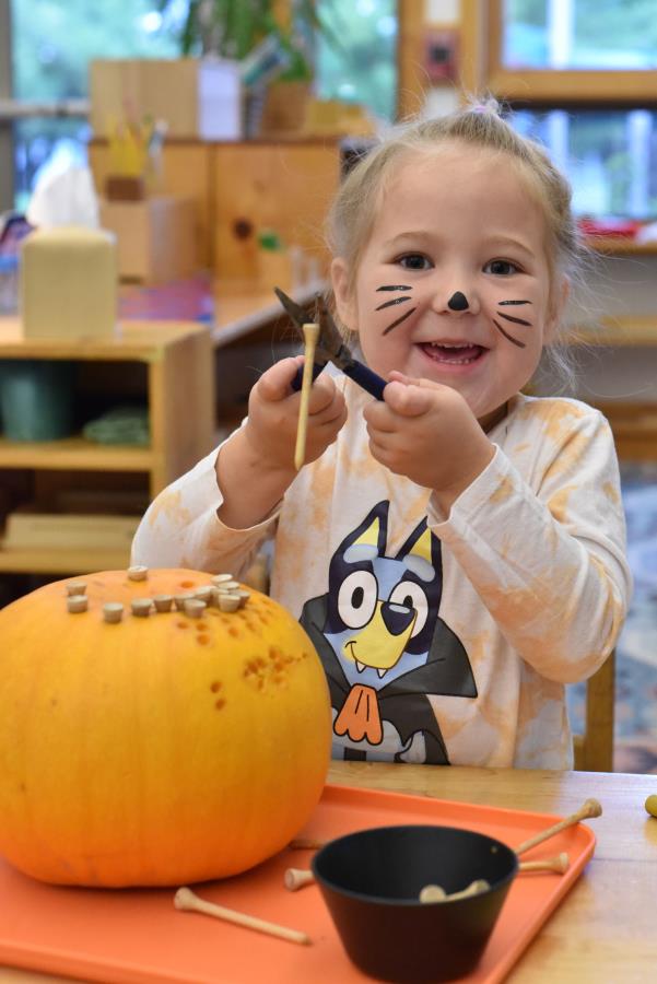 waypoints-10-31-25-93.jpg waypoints-10-31-25-93.jpg