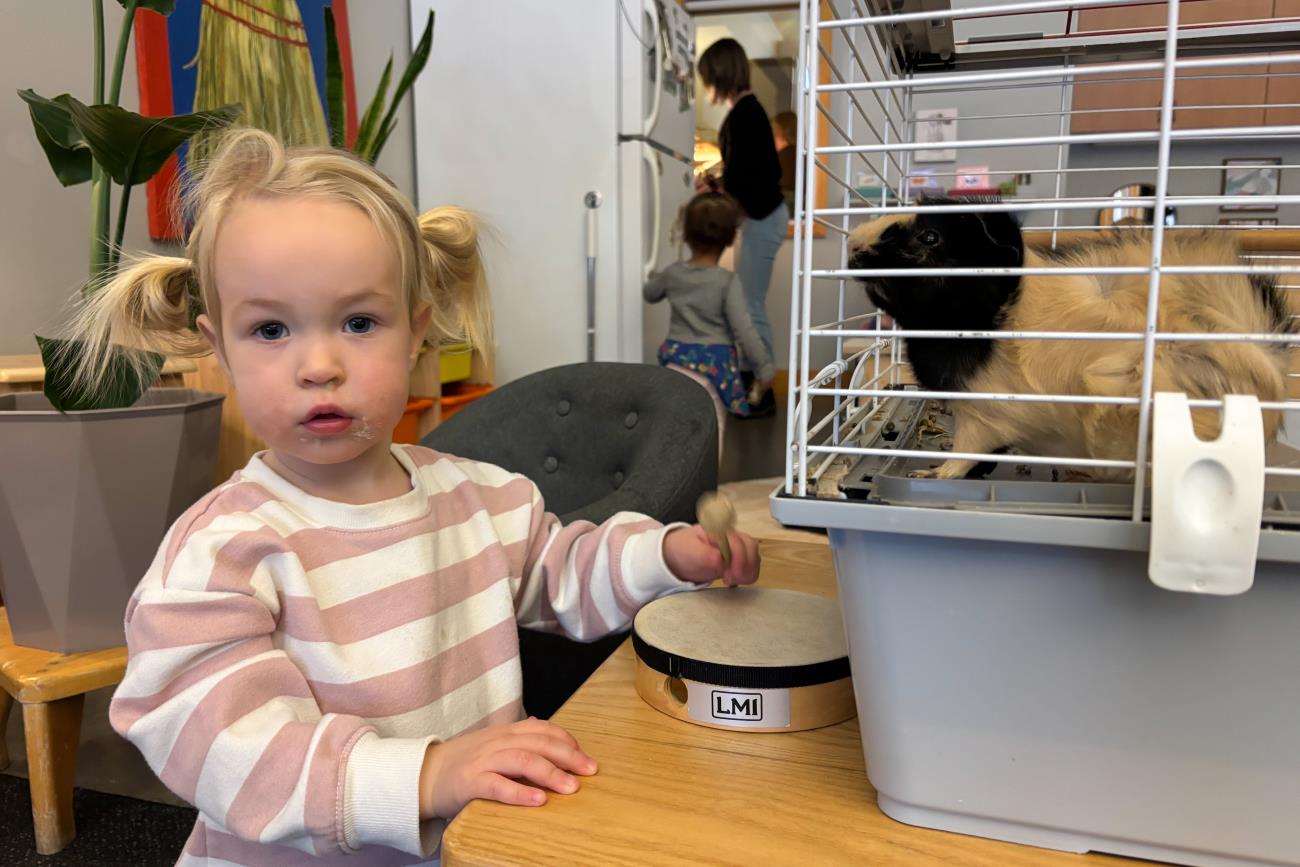 waypoints-12-12-25-15.jpg waypoints-12-12-25-15.jpg