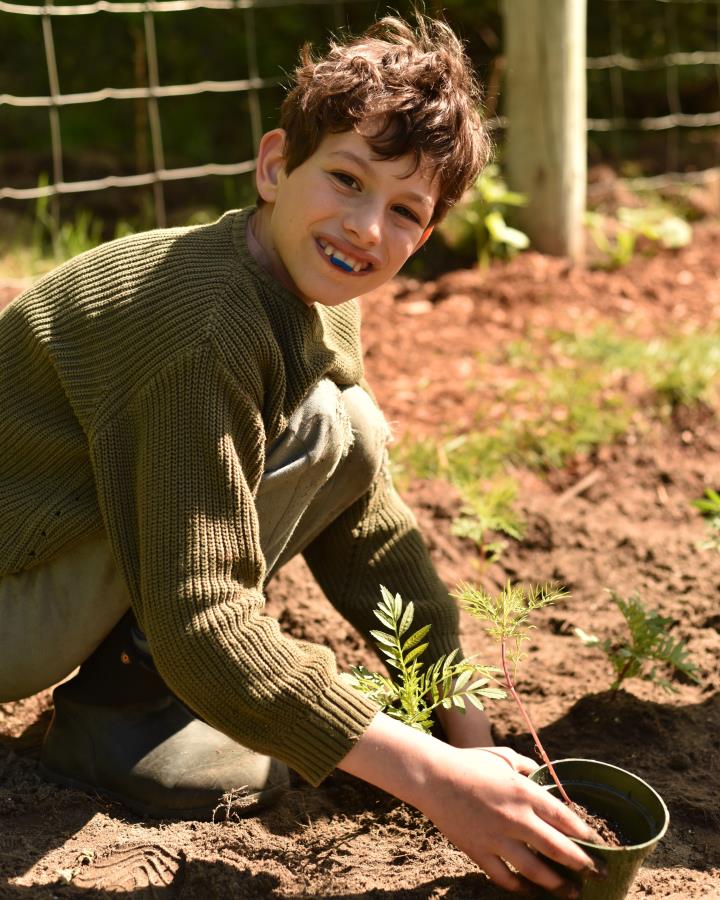 Montessori student Interdependence: From Bread to Peace