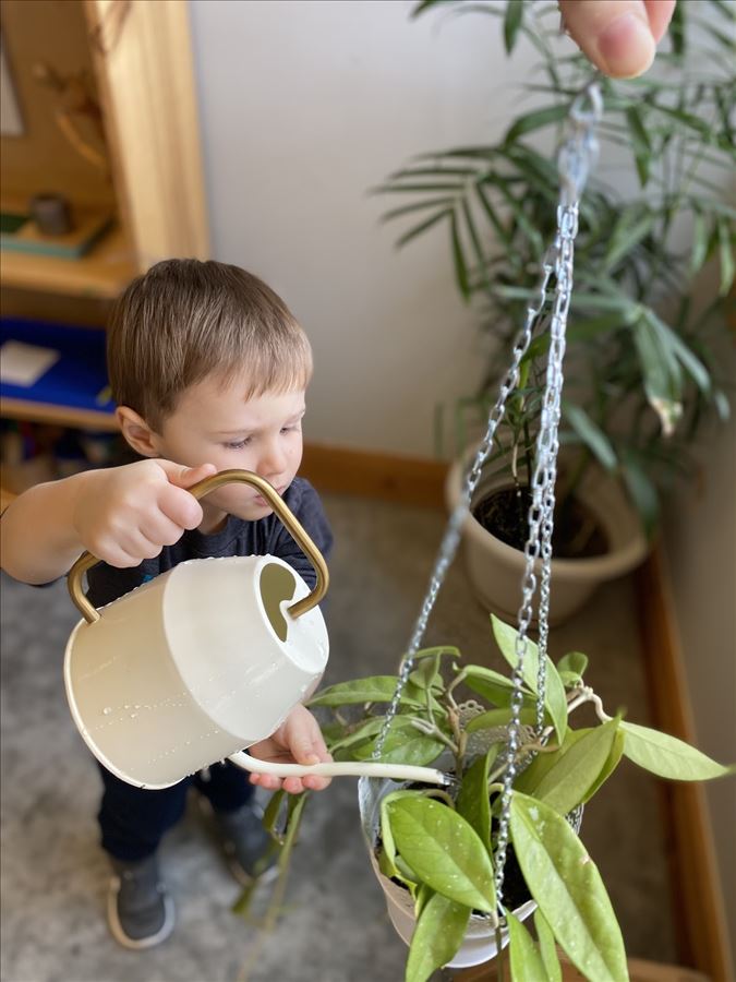 montessori_plant_care_in_the_ycc_1.jpg