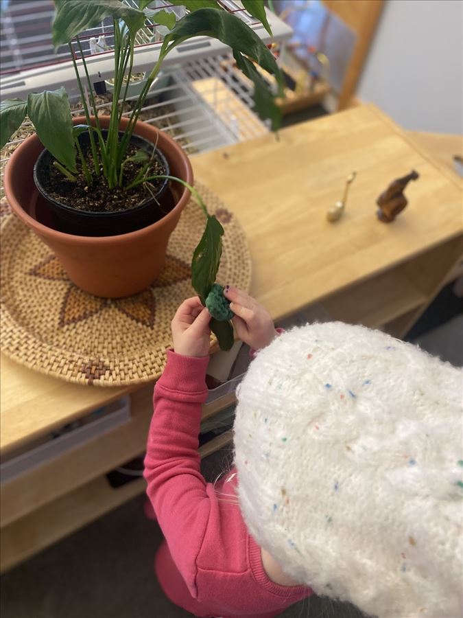 montessori_plant_care_in_the_ycc_2.jpg