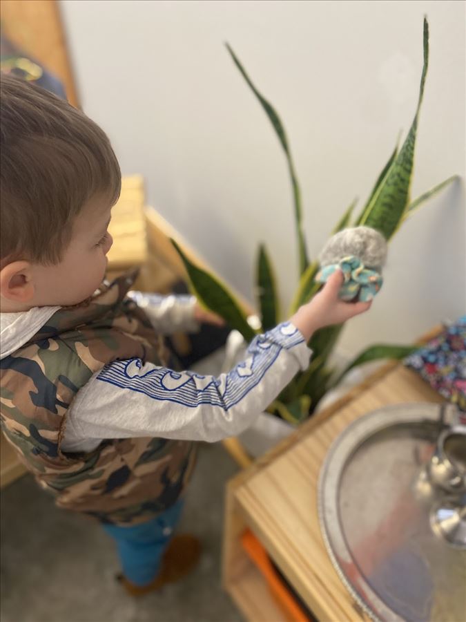 montessori_plant_care_in_the_ycc_3.jpg