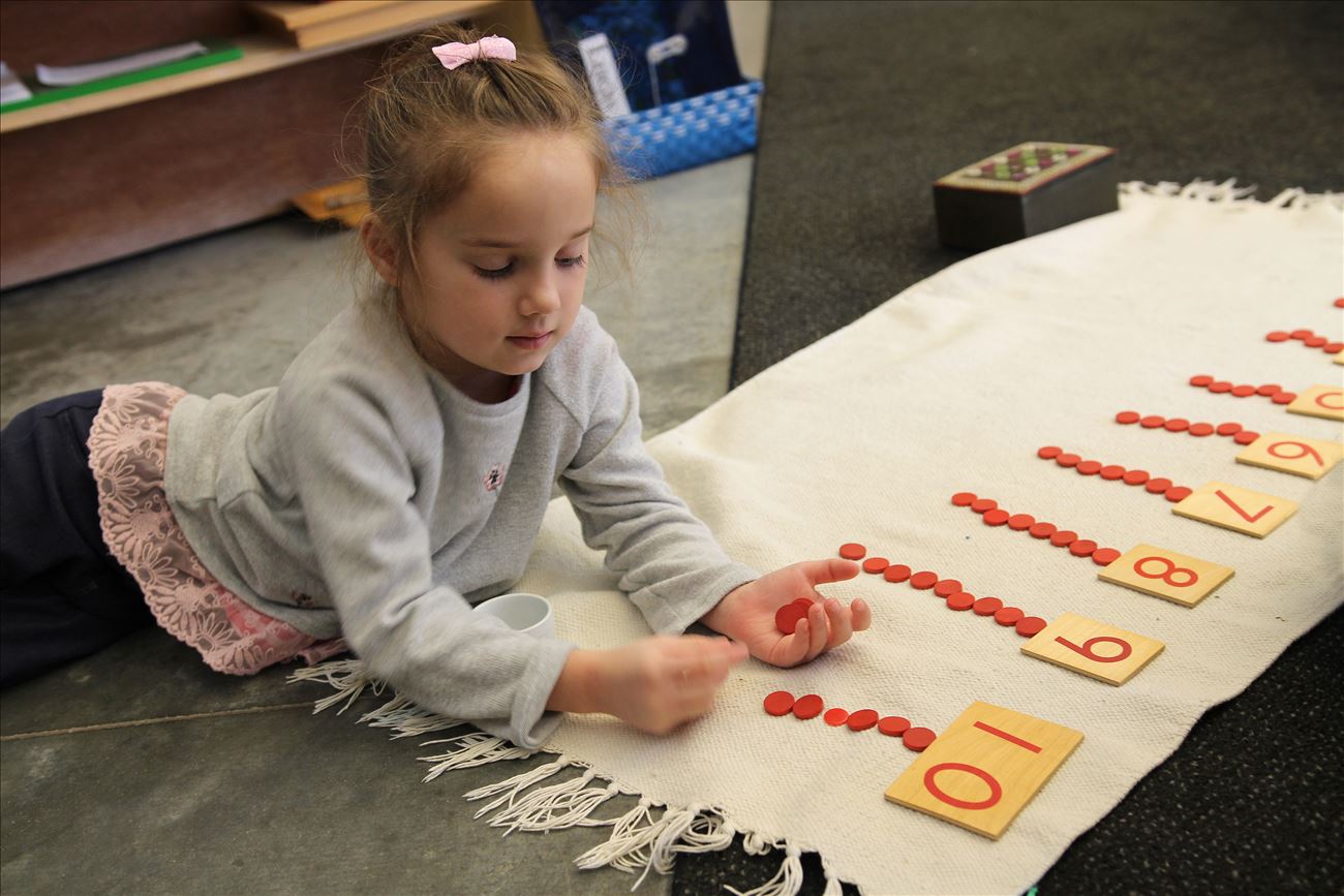 Montessori Math