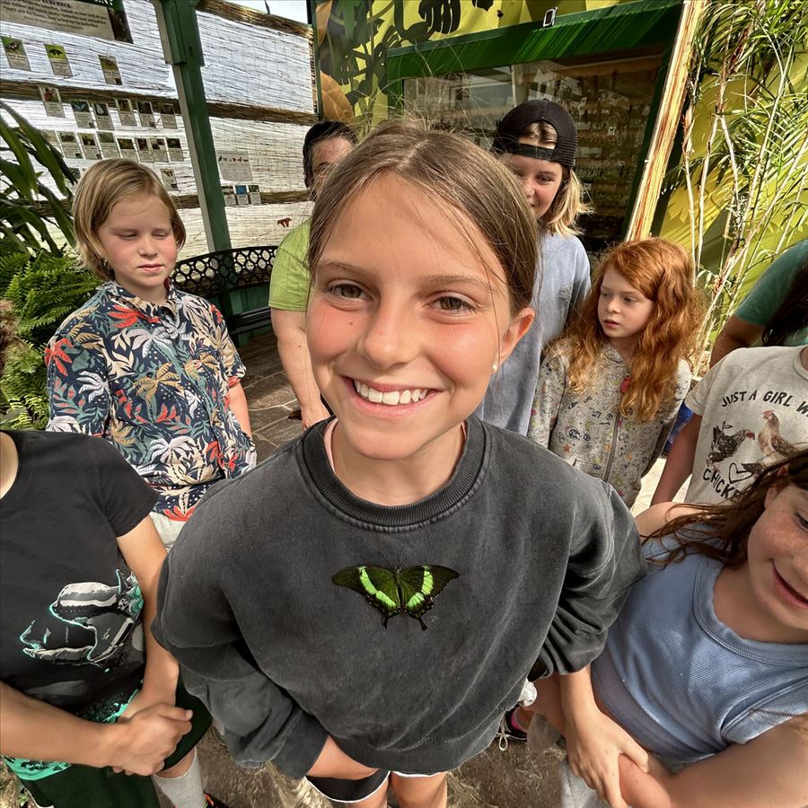 Summer at the Children's House