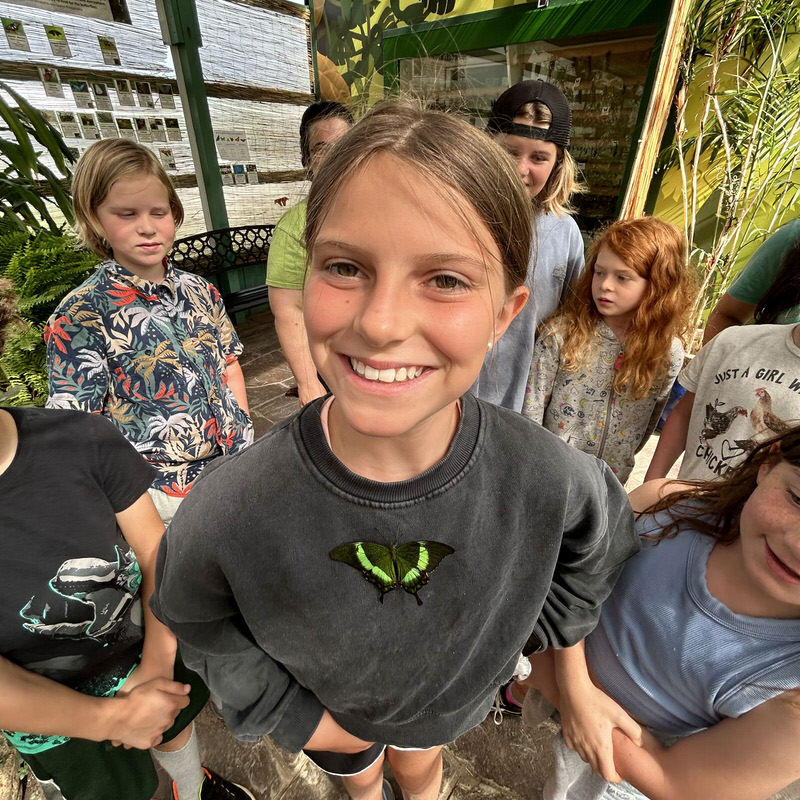Summer Camp at The Children's House for ages 5-12
