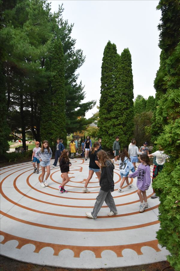 Labyrinth Daffodil Circle