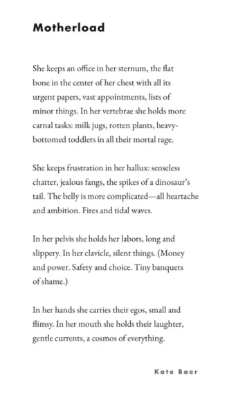 Community Bulletin at The Children's House